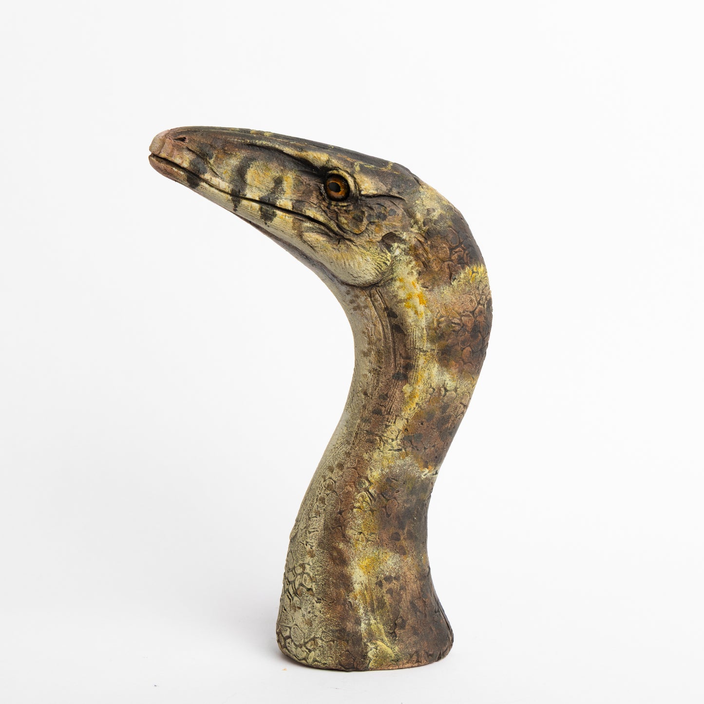 Artistic Interpretation of Compsognathus by Karen Fawcett