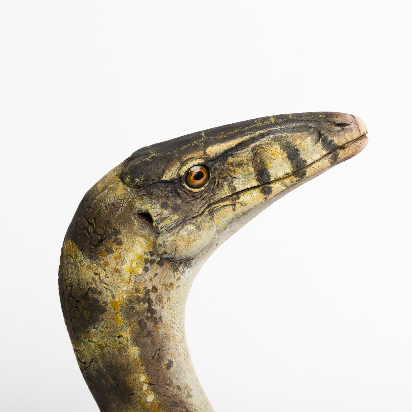 Artistic Interpretation of Compsognathus by Karen Fawcett