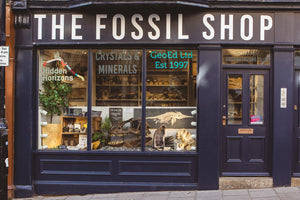 The Fossil Shop front