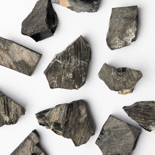 Whitby Jet Specimen