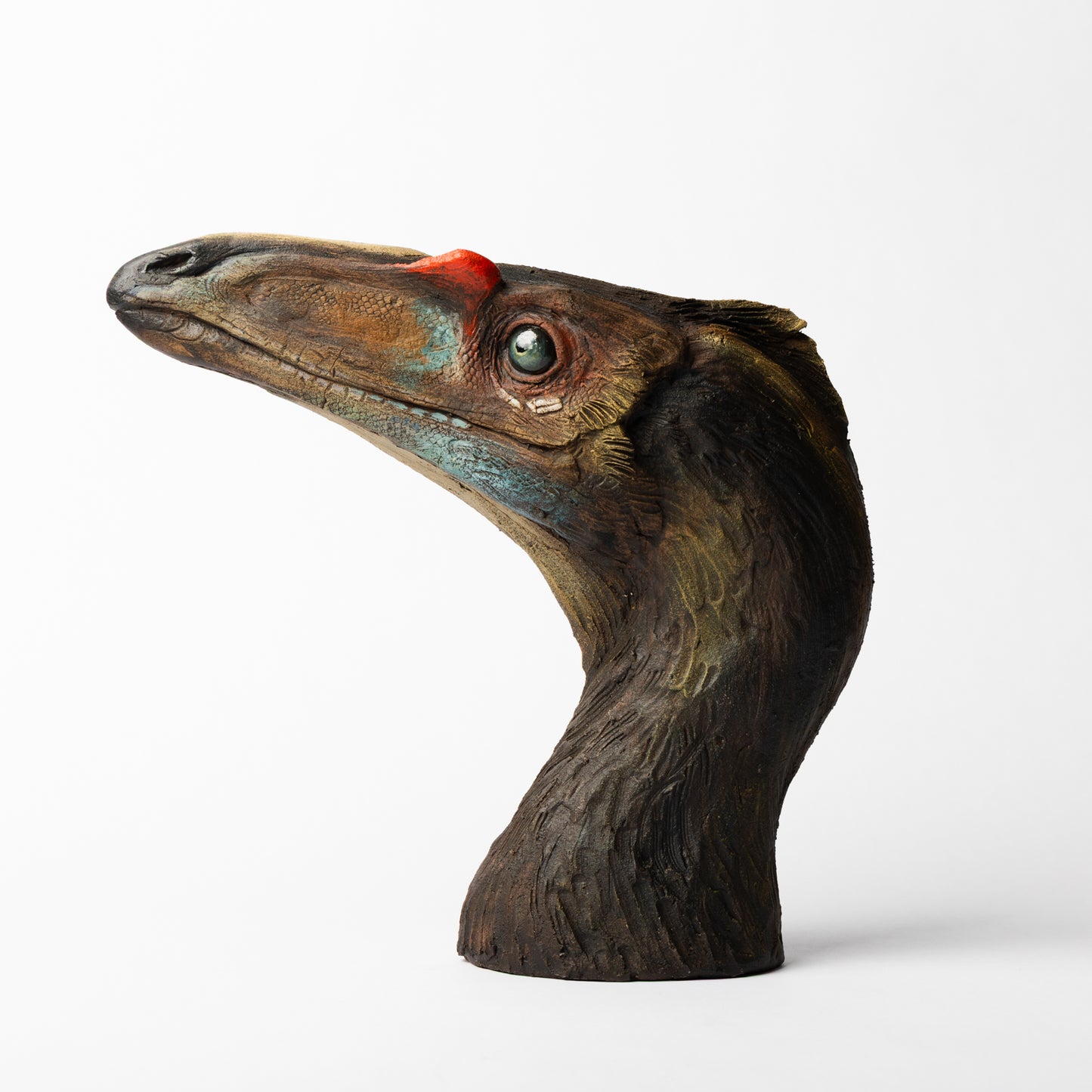 Artistic Interpretation of Coelophysis by Karen Fawcett