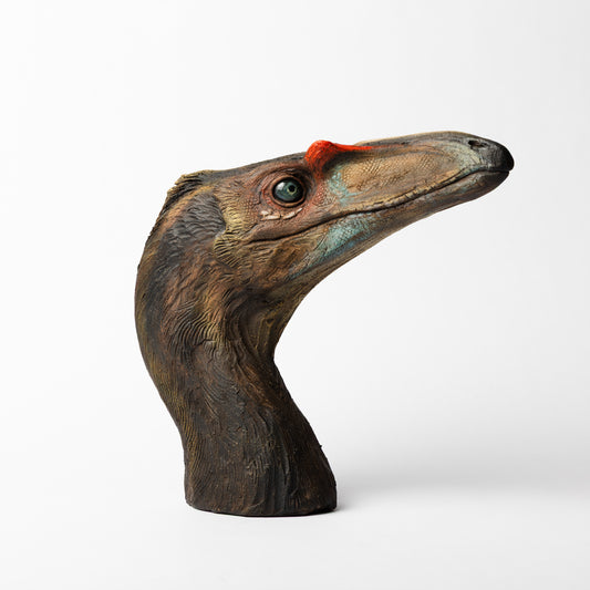 Artistic Interpretation of Coelophysis by Karen Fawcett