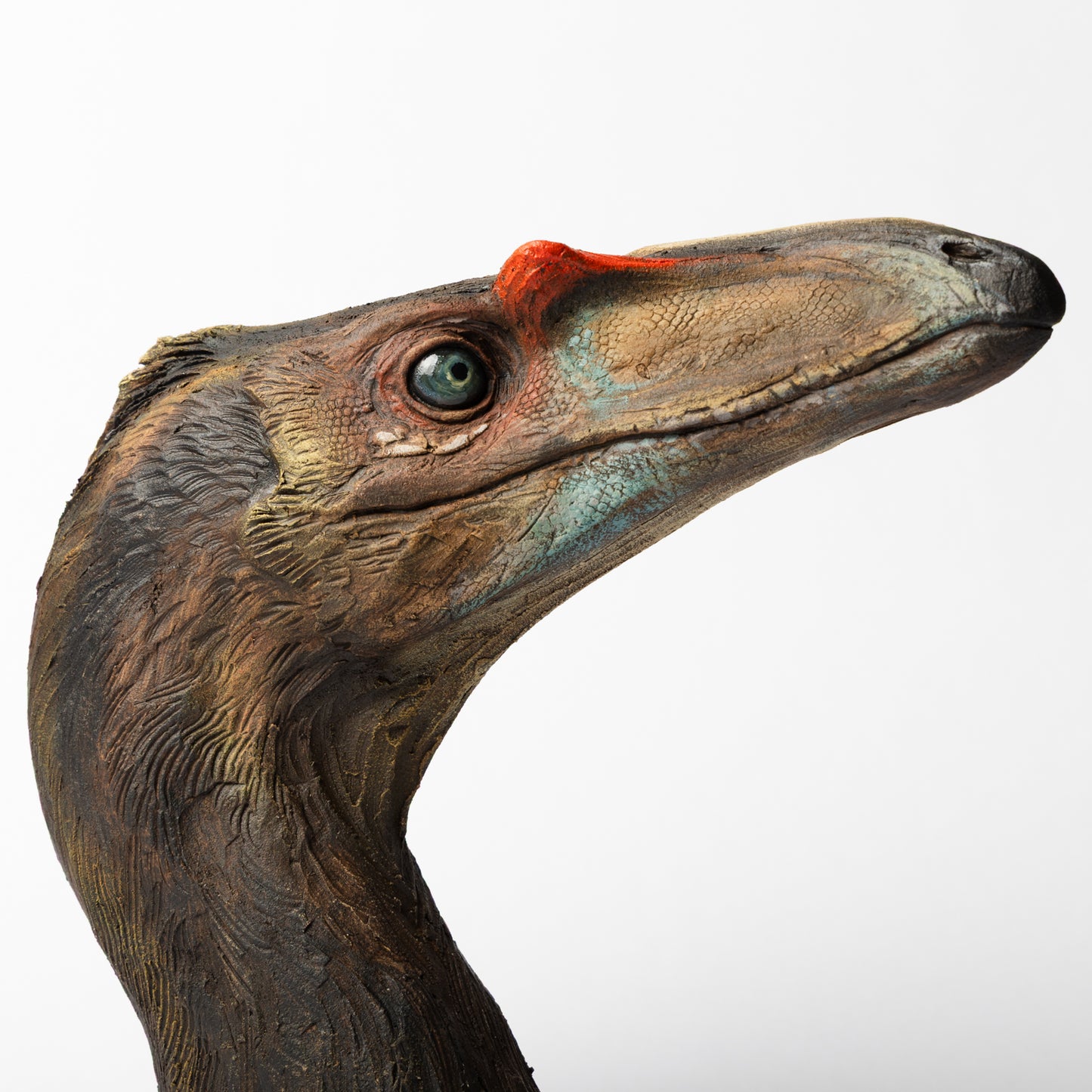 Artistic Interpretation of Coelophysis by Karen Fawcett
