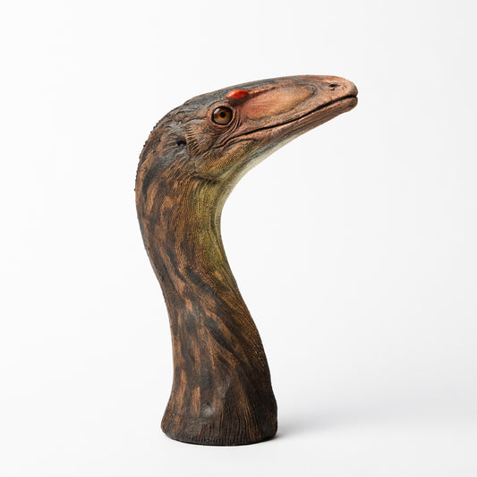 Artistic Interpretation of Compsognathus by Karen Fawcett