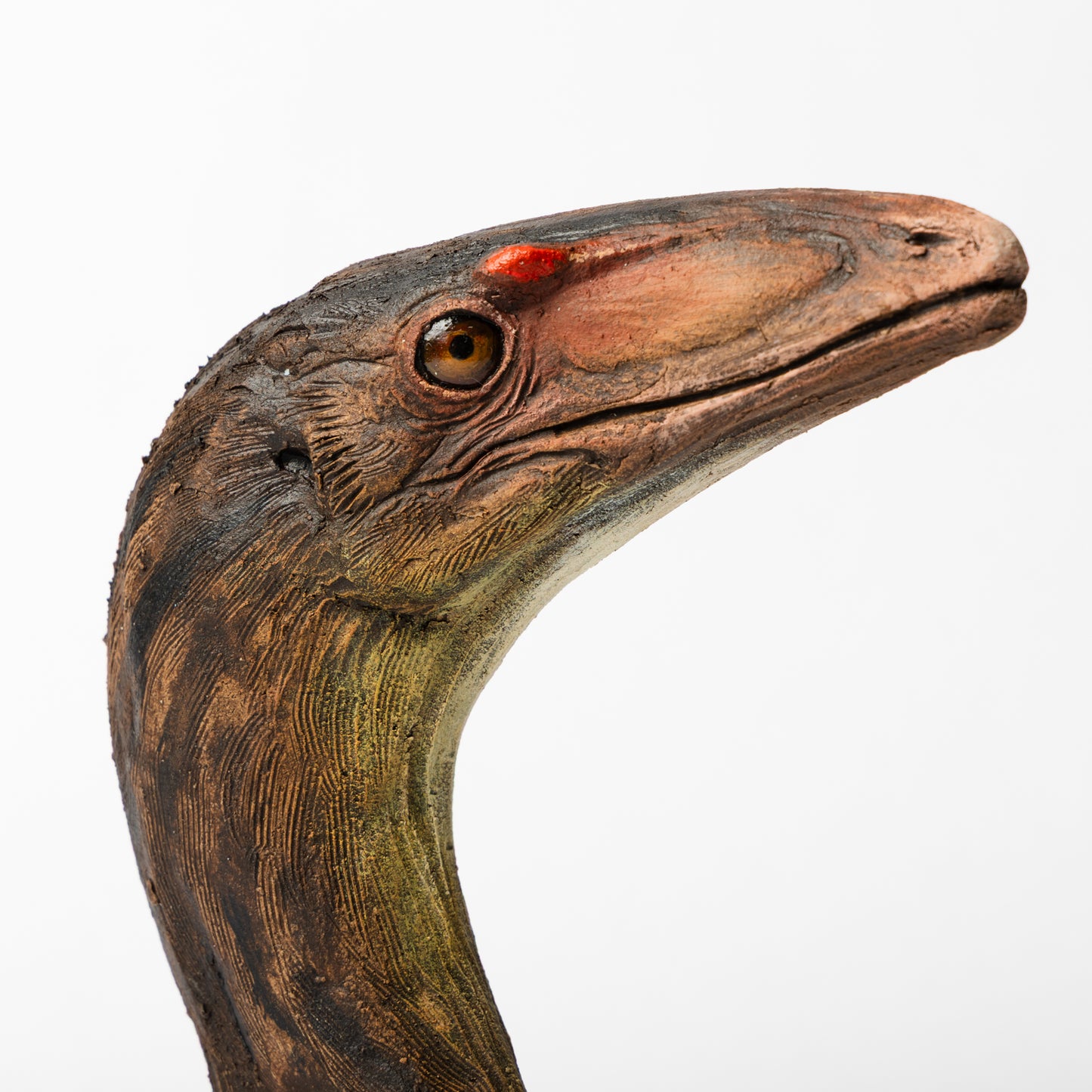 Artistic Interpretation of Compsognathus by Karen Fawcett