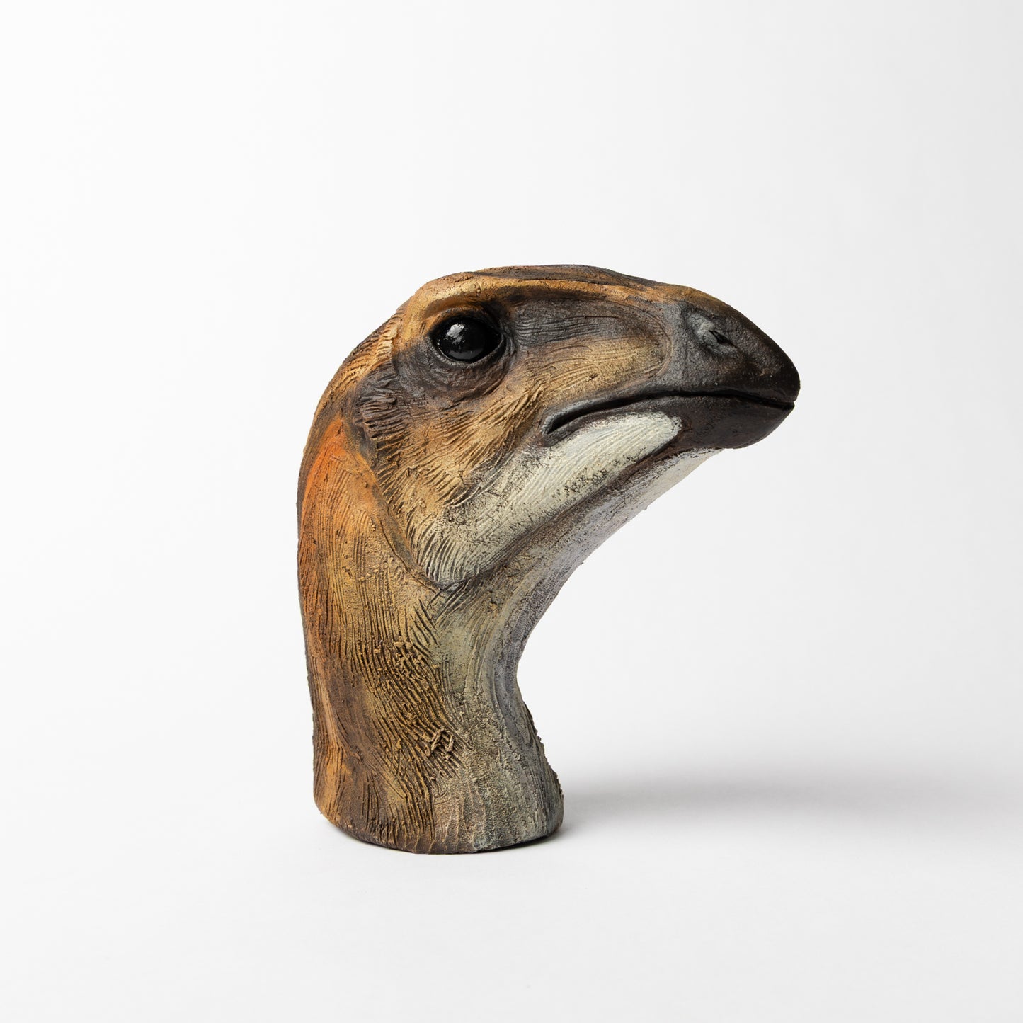 Artistic Interpretation of Hypsilophodon by Karen Fawcett