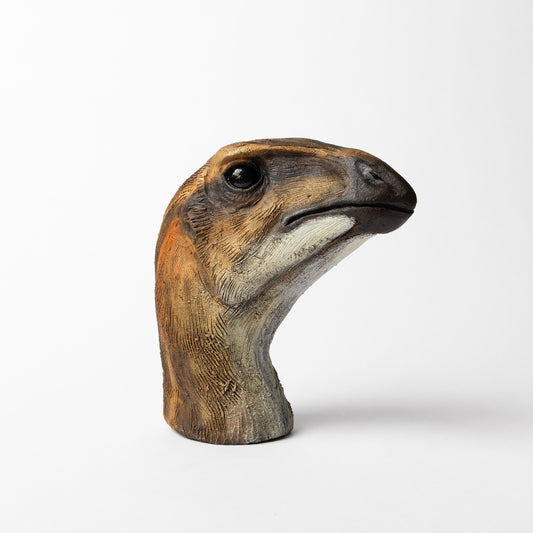 Artistic Interpretation of Hypsilophodon by Karen Fawcett