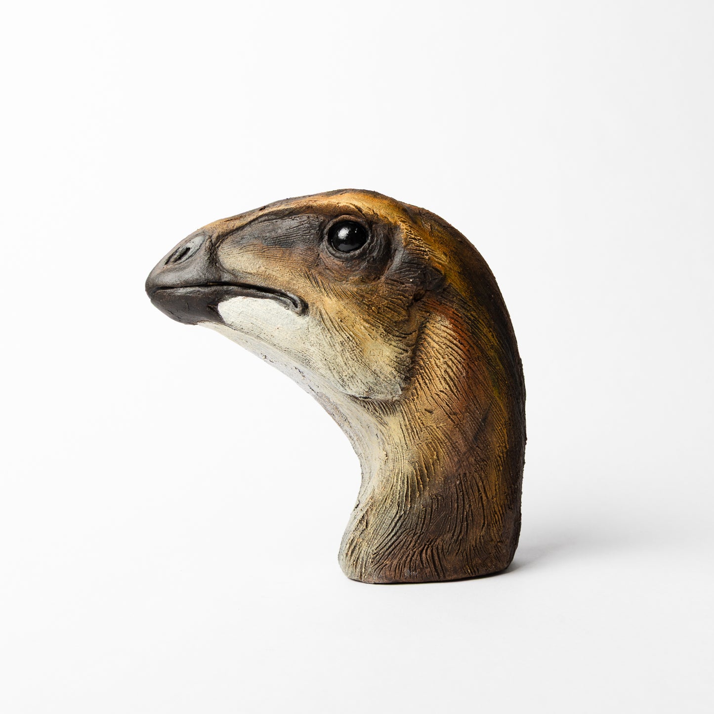 Artistic Interpretation of Hypsilophodon by Karen Fawcett