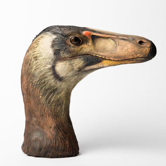 Artistic Interpretation of Velociraptor by Karen Fawcett