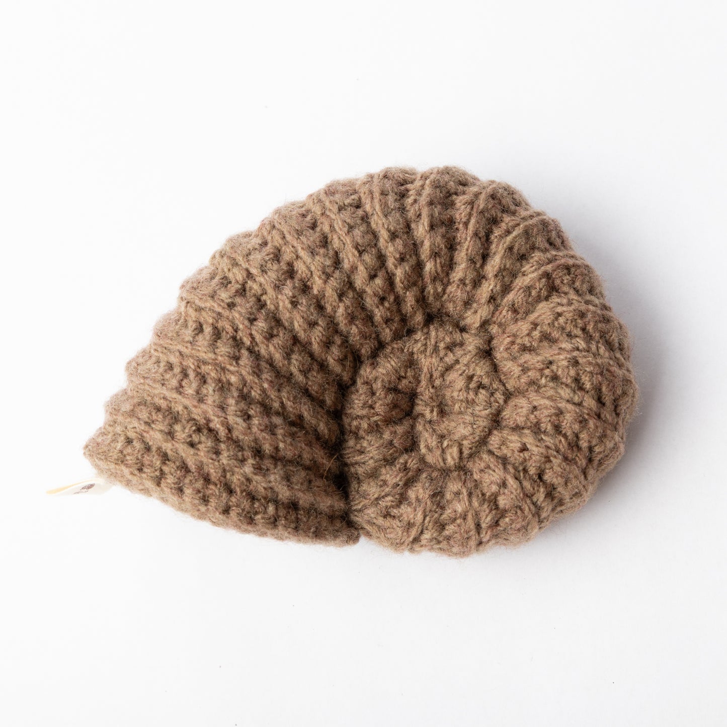 Crocheted Ammonite