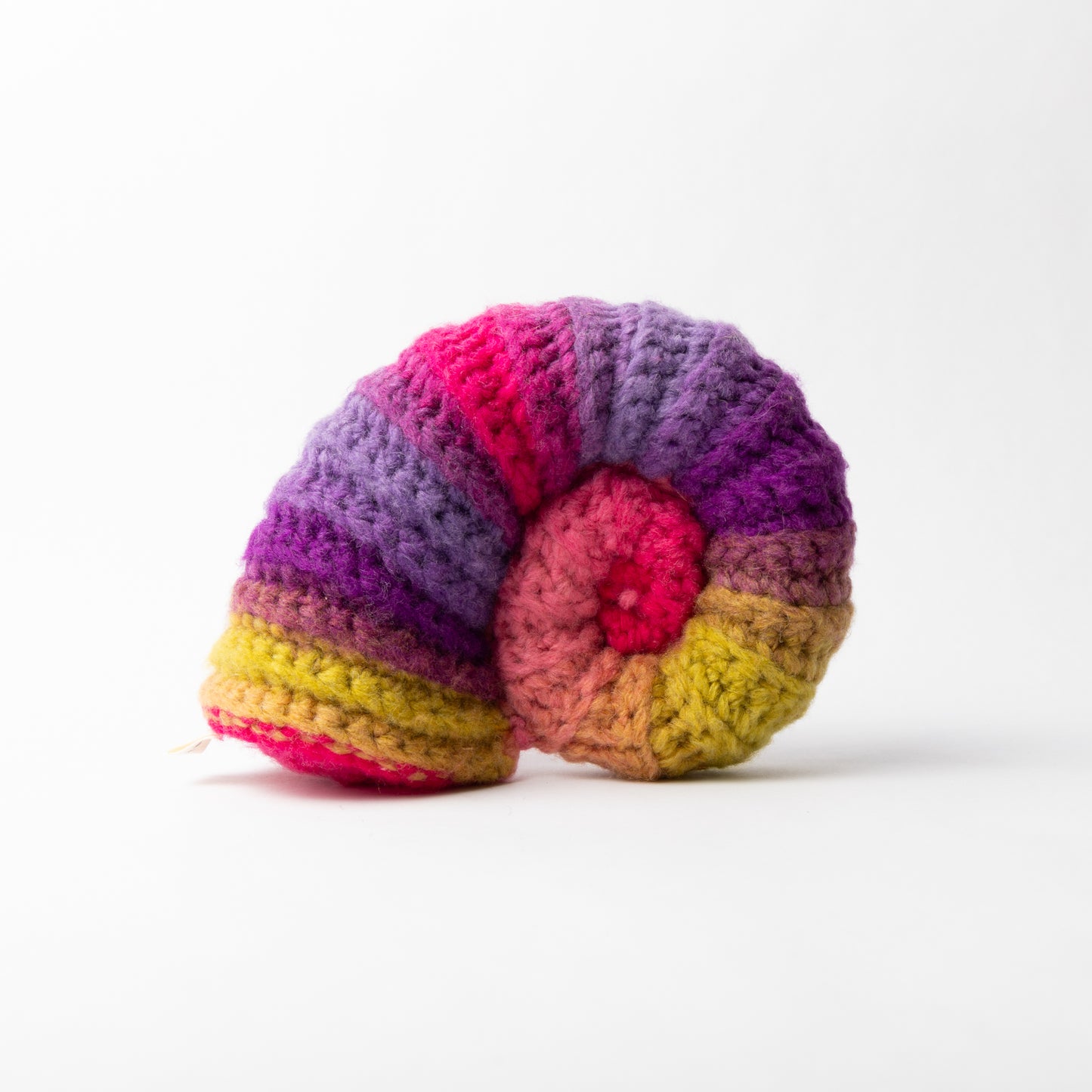 Crocheted Ammonite