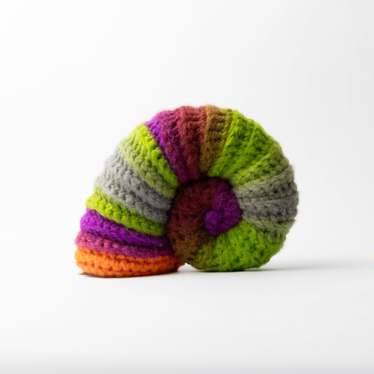 Crocheted Ammonite