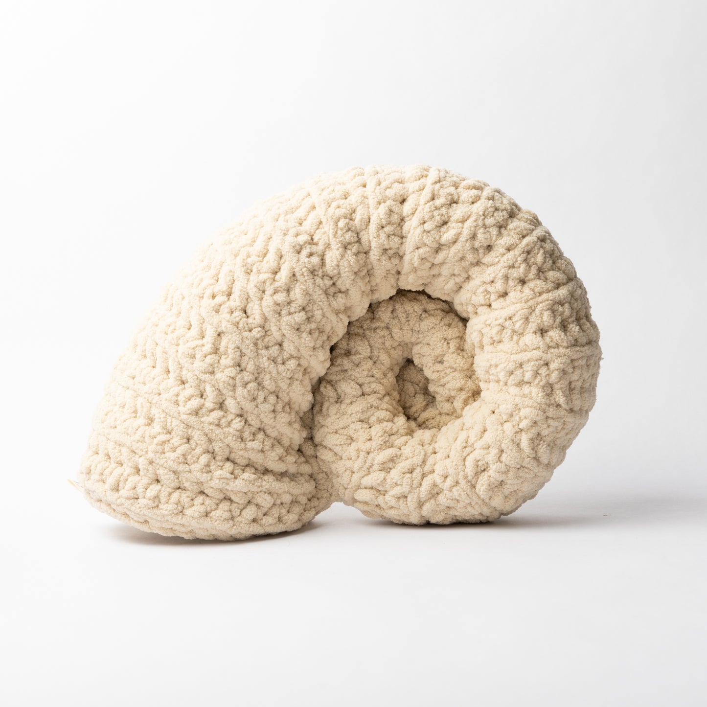 Crocheted Ammonite