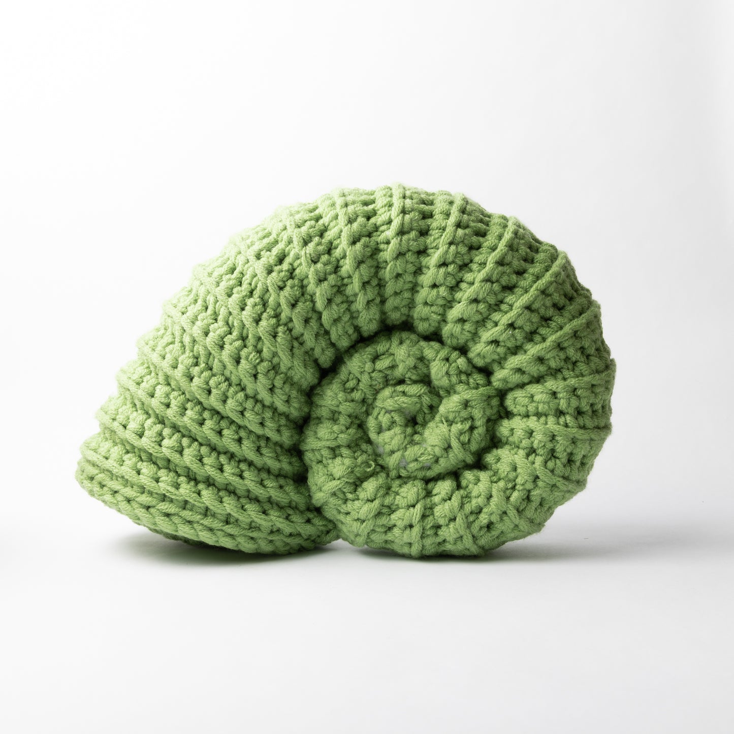 Crocheted Ammonite
