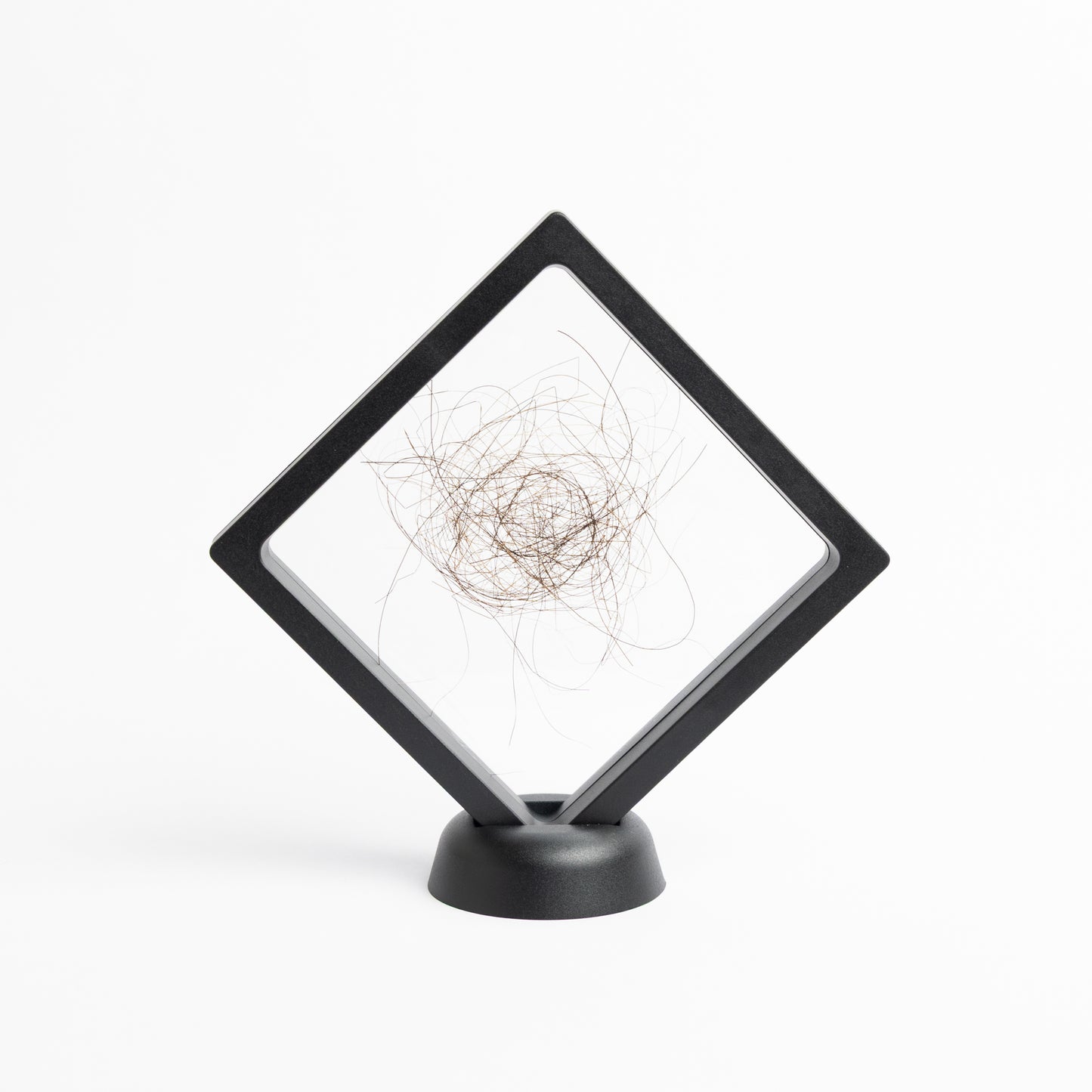 Mammuthus primigenius (Woolly Mammoth) Hair