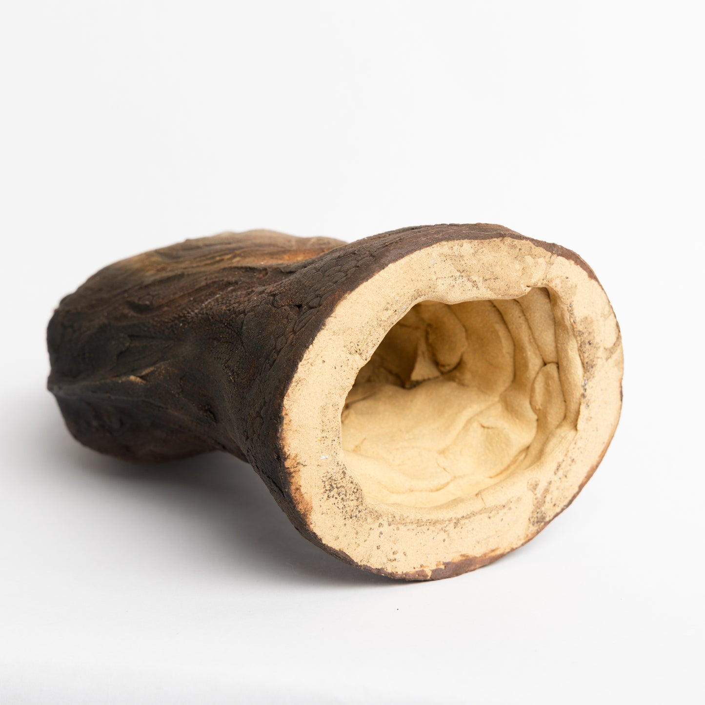 Artistic Interpretation of Megalosaurus by Karen Fawcett