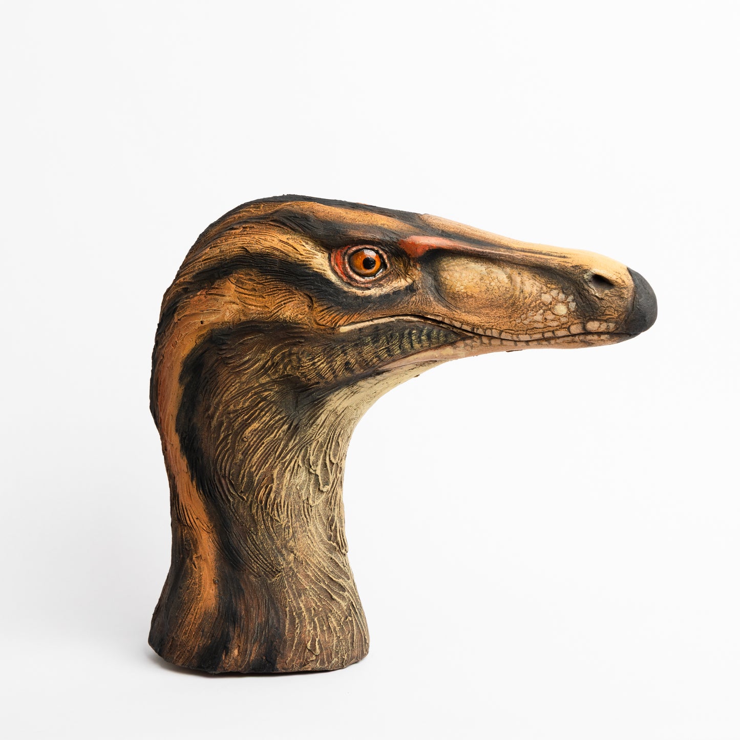 Artistic Interpretation of Velociraptor by Karen Fawcett
