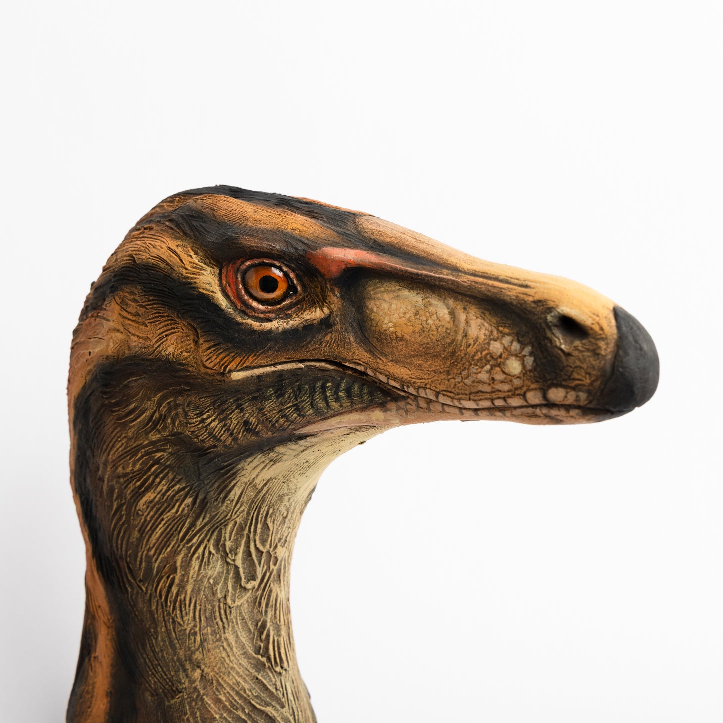 Artistic Interpretation of Velociraptor by Karen Fawcett