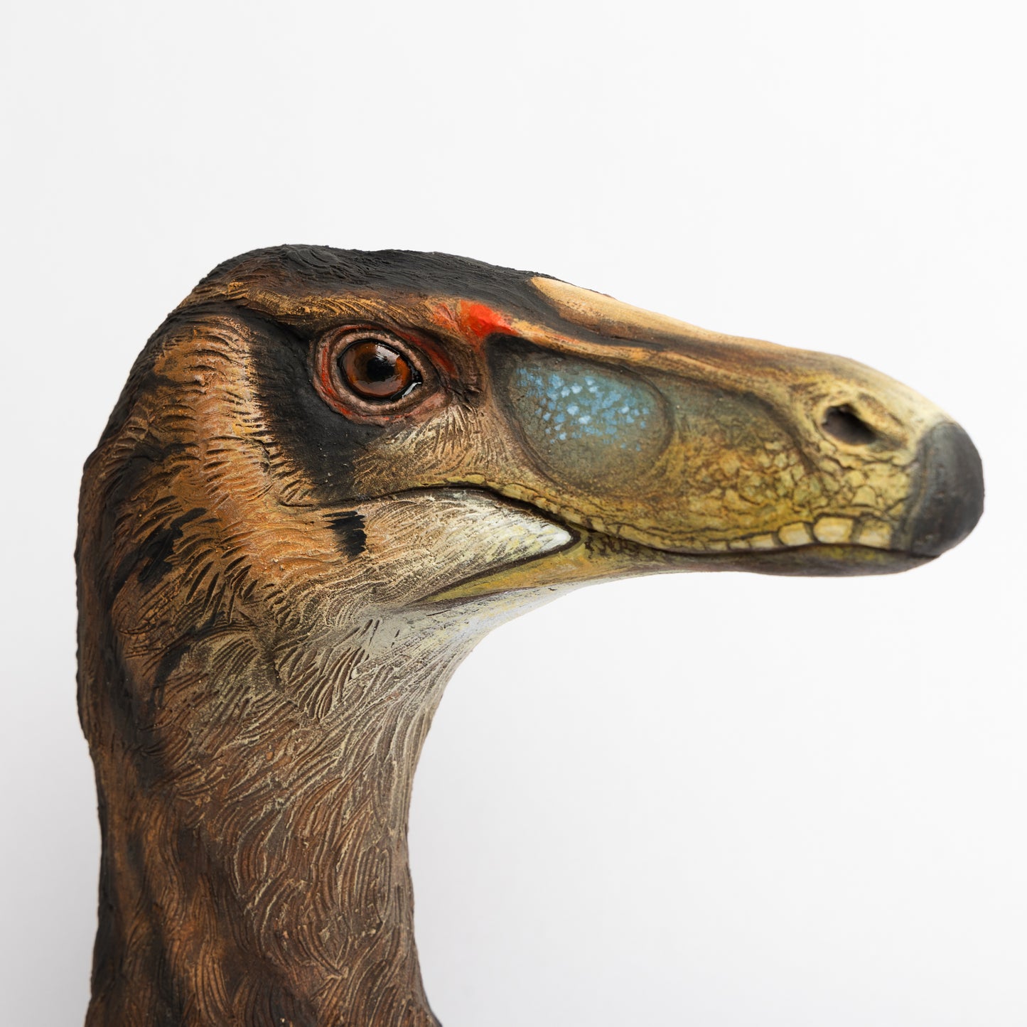 Artistic Interpretation of Velociraptor by Karen Fawcett