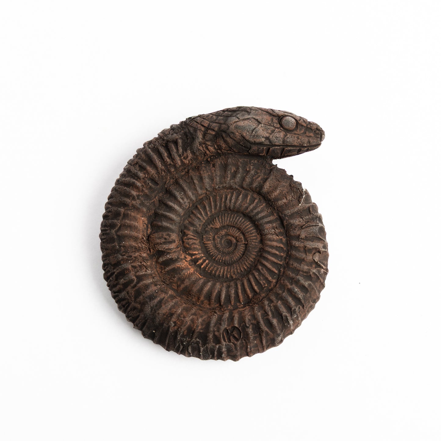 Artistic Interpretation of a Snake Stone (Ammonite) by Karen Fawcett