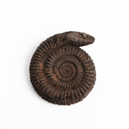 Artistic Interpretation of a Snake Stone (Ammonite) by Karen Fawcett