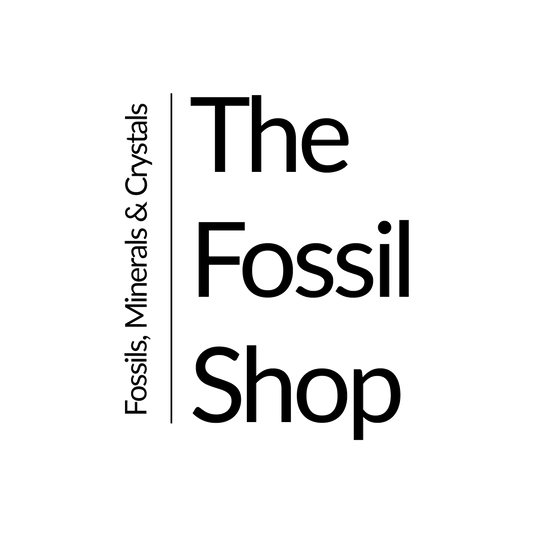 The Fossil Shop Gift Card