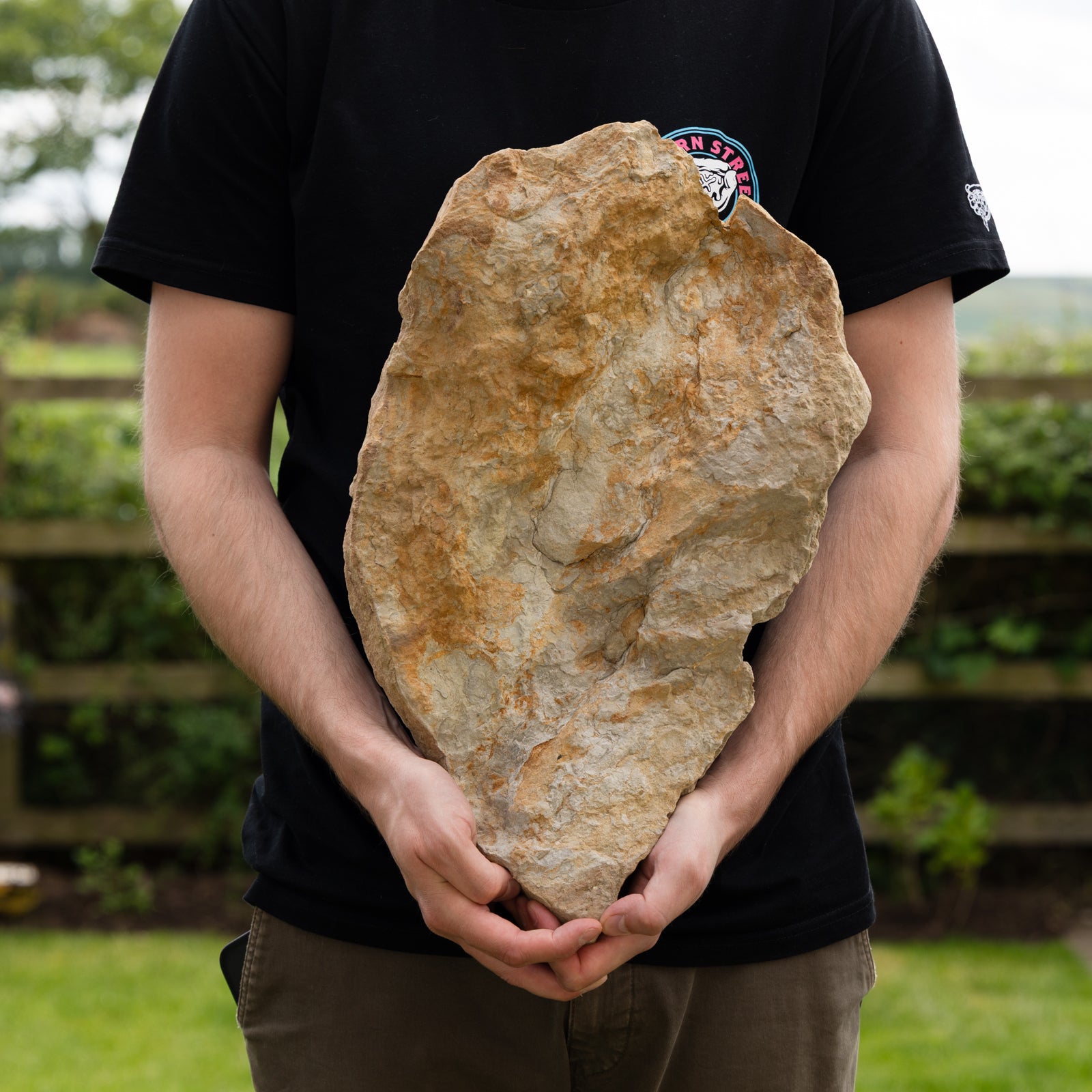 Theropod dinosaur footprint, Yorkshire Coast, Middle Jurassic, 165 million years old.