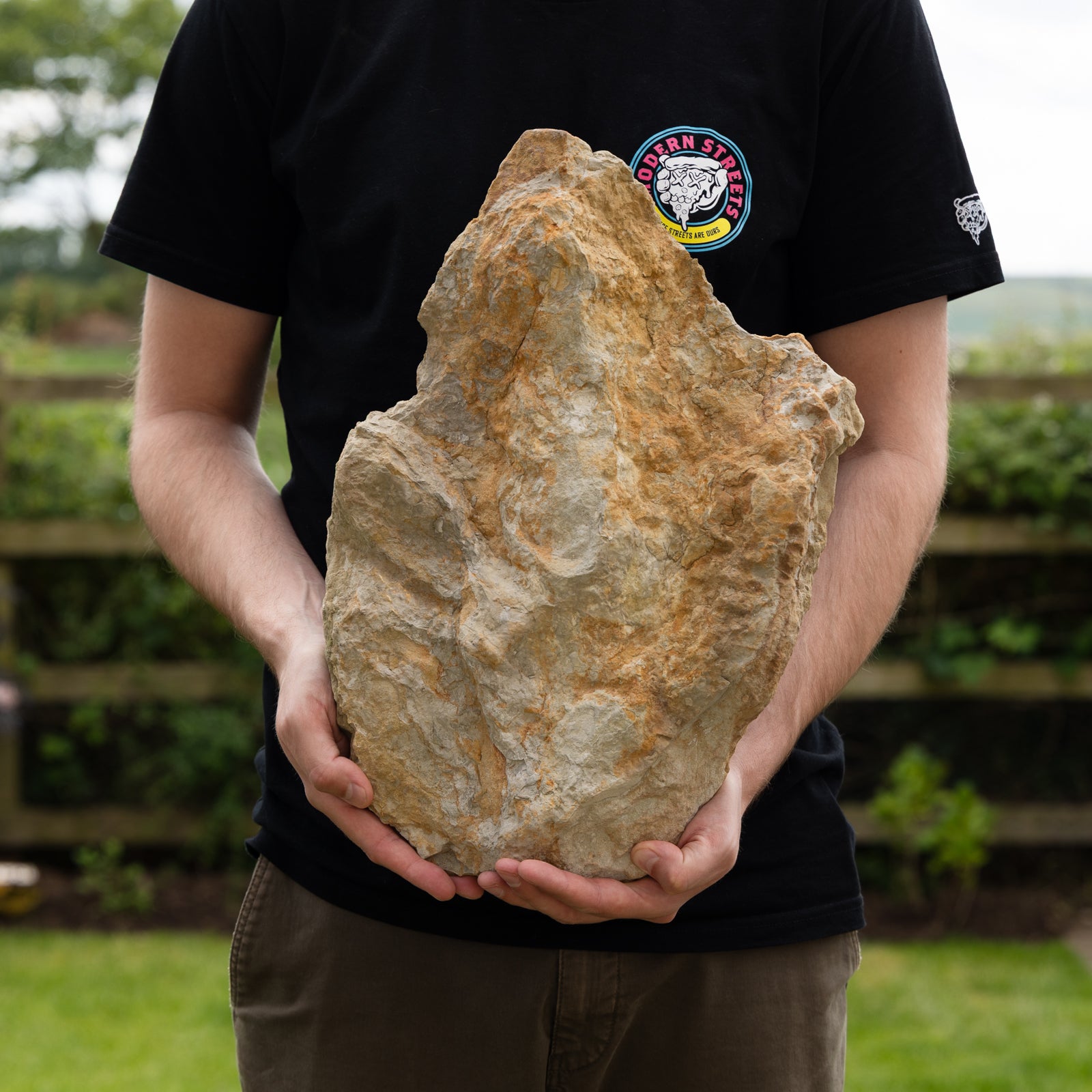 Theropod dinosaur footprint, Yorkshire Coast, Middle Jurassic, 165 million years old.