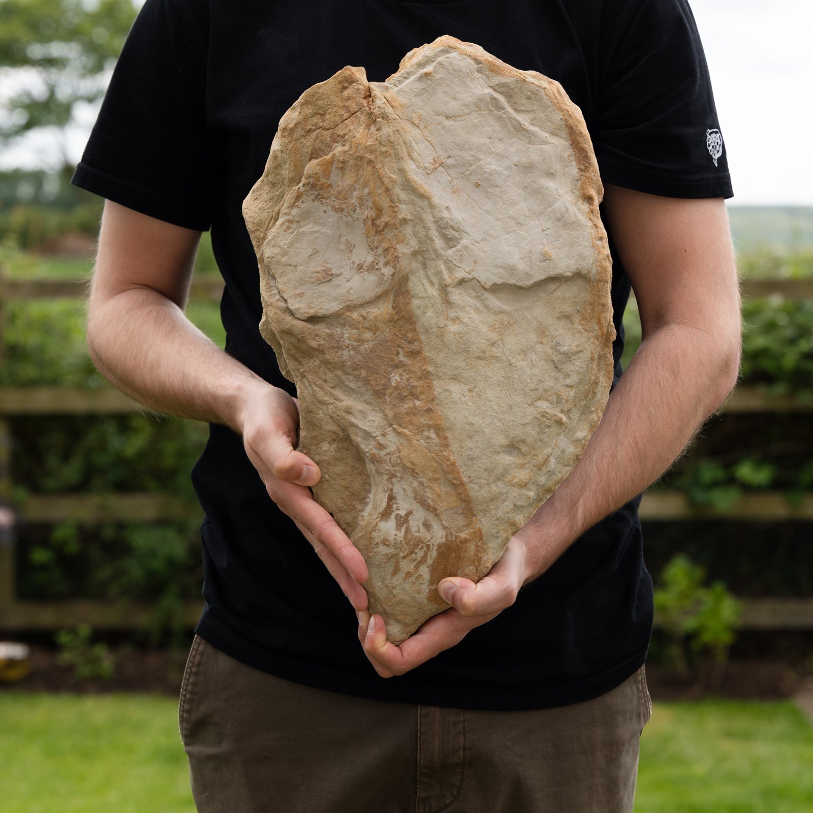 Theropod dinosaur footprint, Yorkshire Coast, Middle Jurassic, 165 million years old.