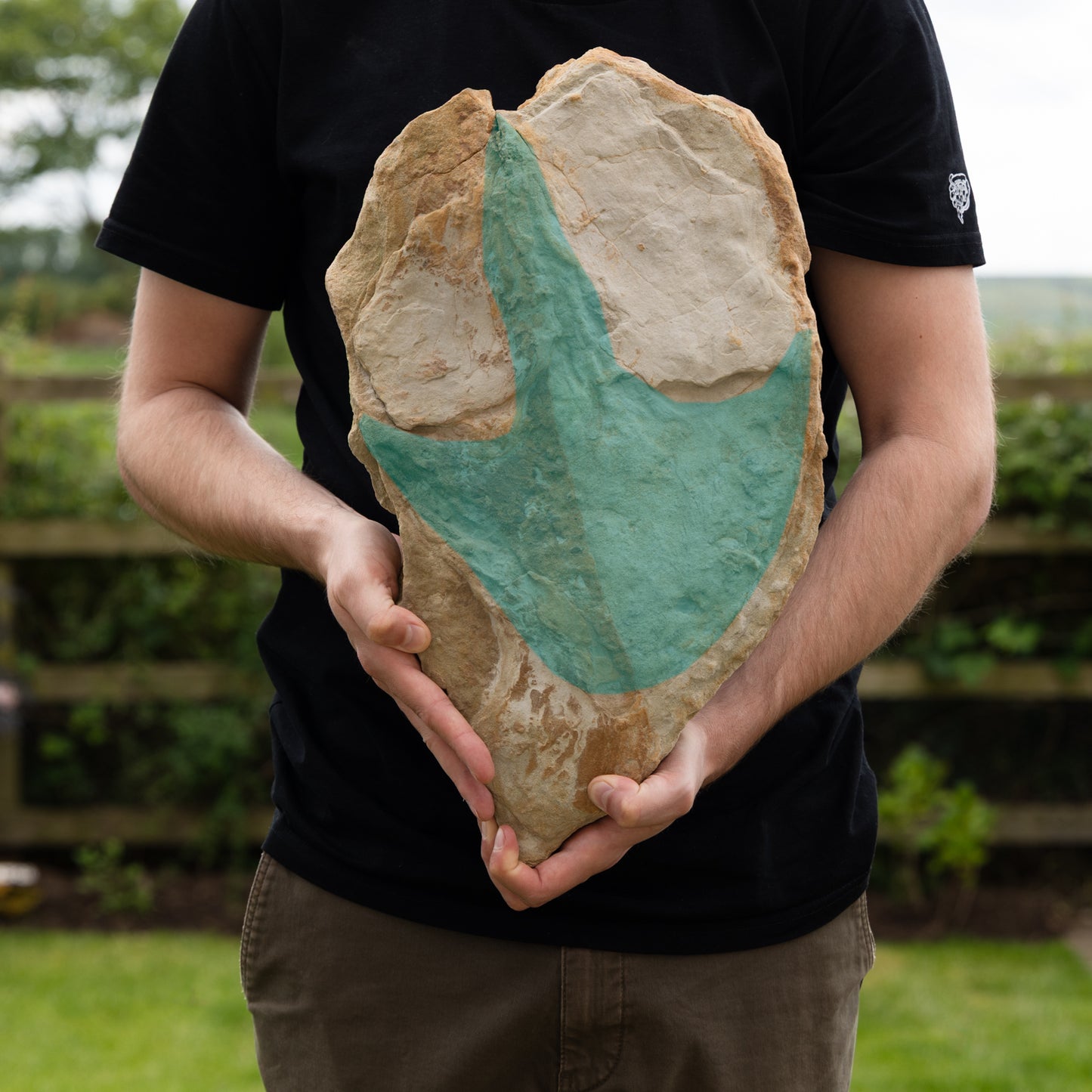 Theropod dinosaur footprint, Yorkshire Coast, Middle Jurassic, 165 million years old.