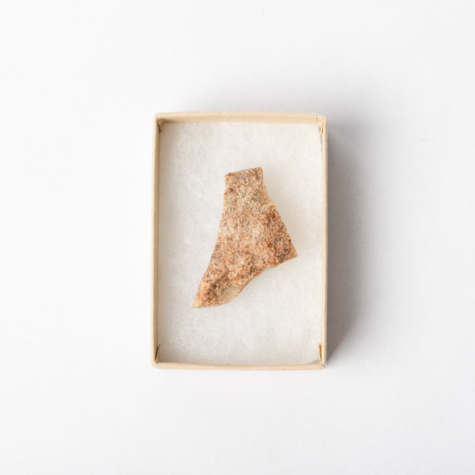A piece of Titanosaurus eggshell in a display box.