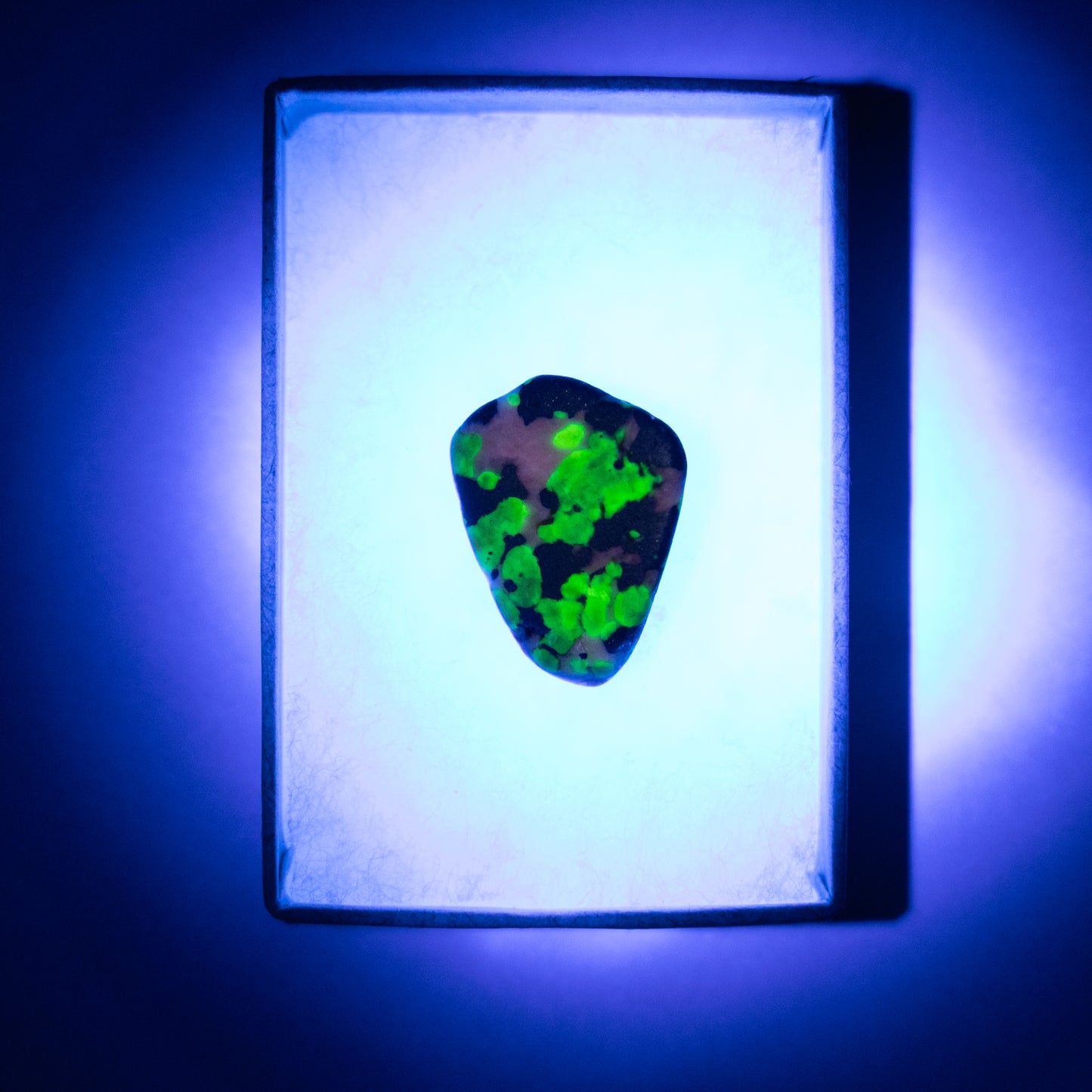Willemite UV Reactive Specimen