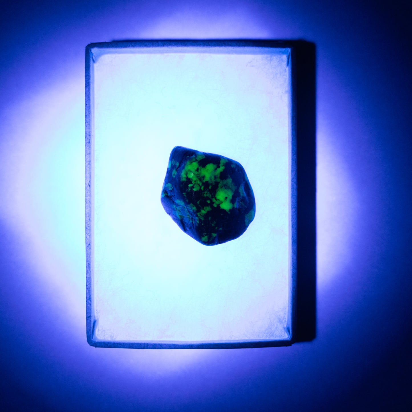 Willemite UV Reactive Specimen