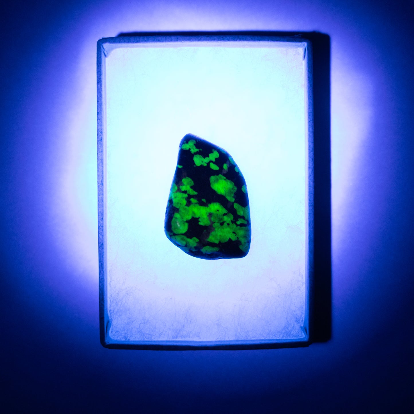 Willemite UV Reactive Specimen