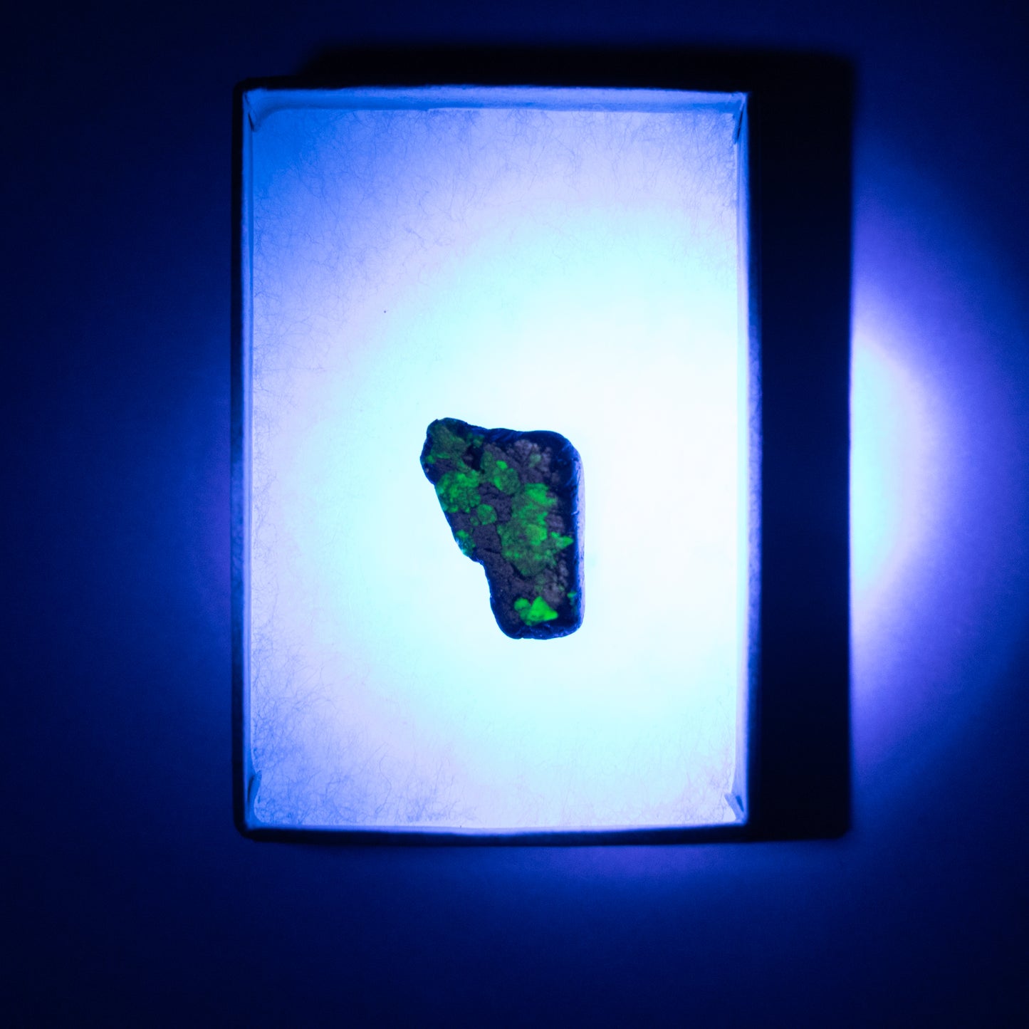Willemite UV Reactive Specimen