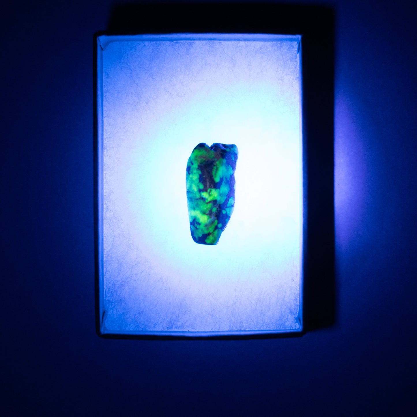 Willemite UV Reactive Specimen