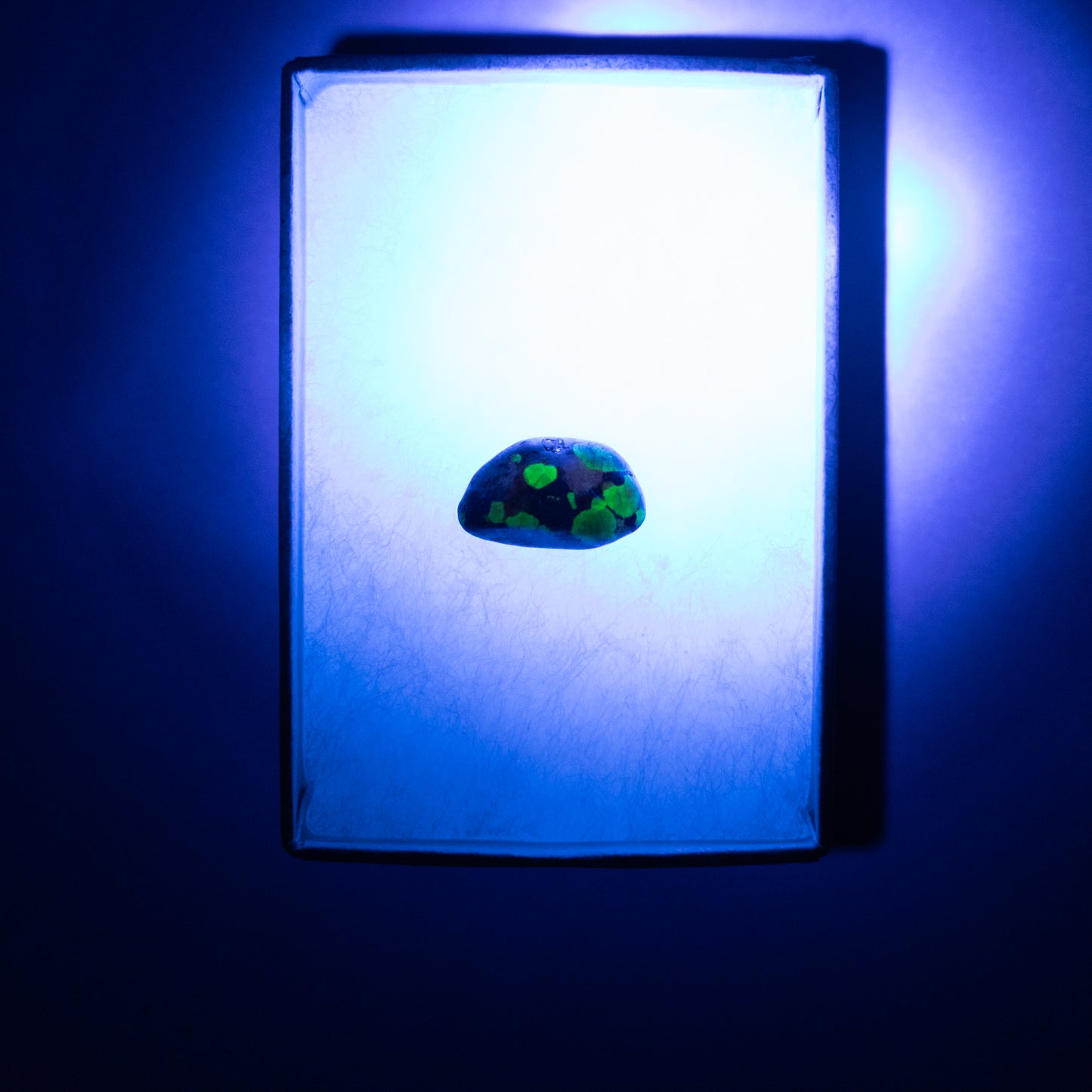 Willemite UV Reactive Specimen