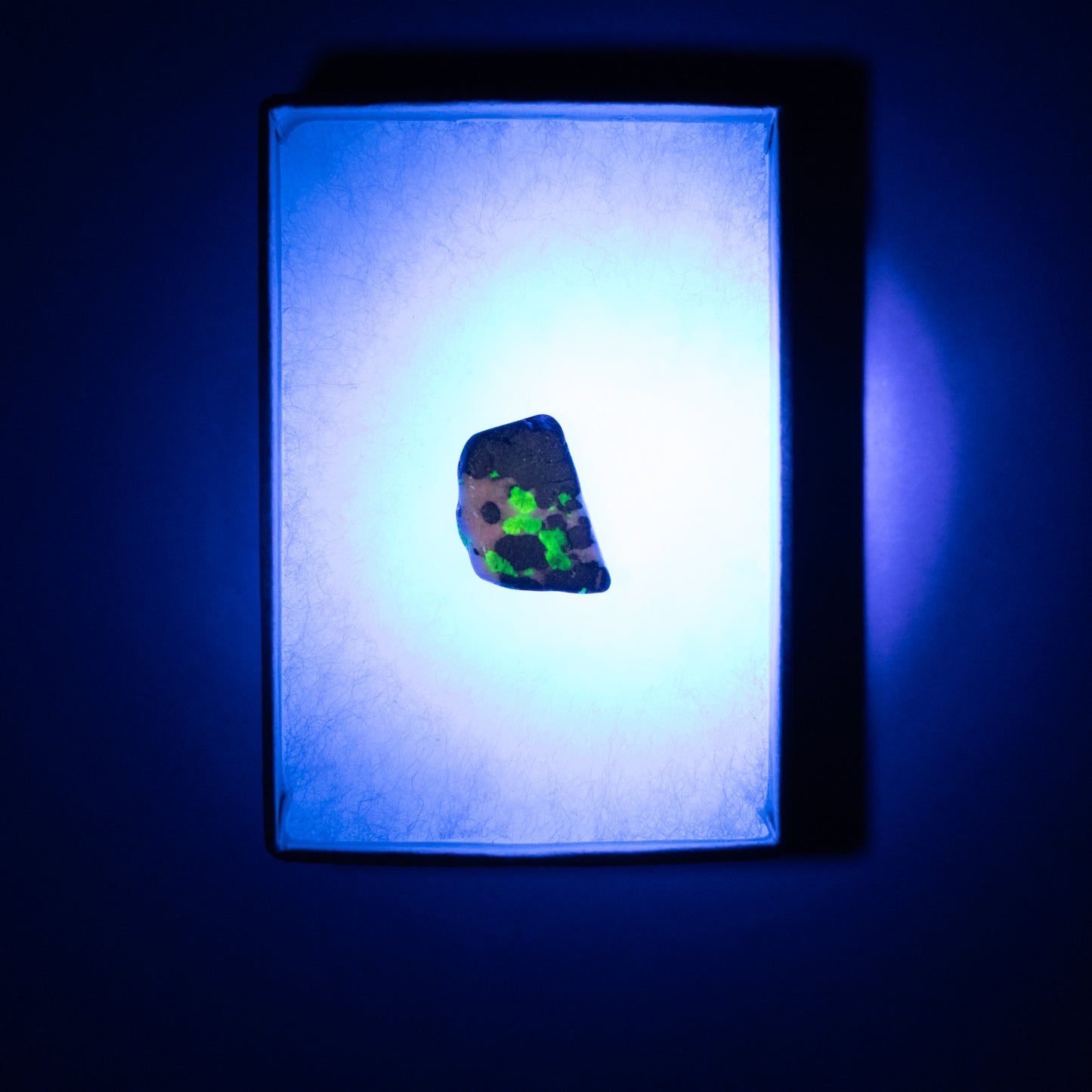 Willemite UV Reactive Specimen