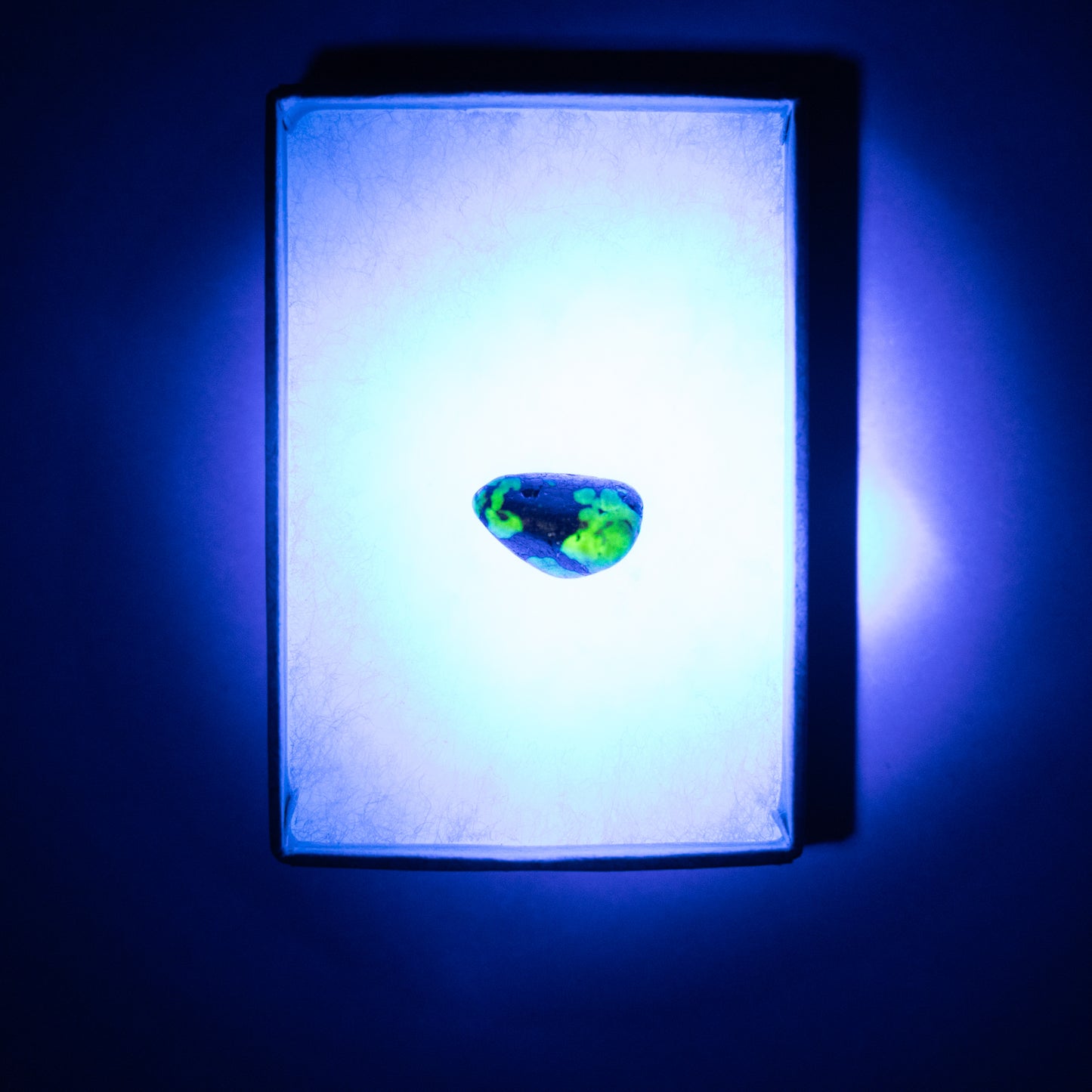 Willemite UV Reactive Specimen