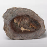 Load image into Gallery viewer, Sauropod Dinosaur Limb Bone Slice
