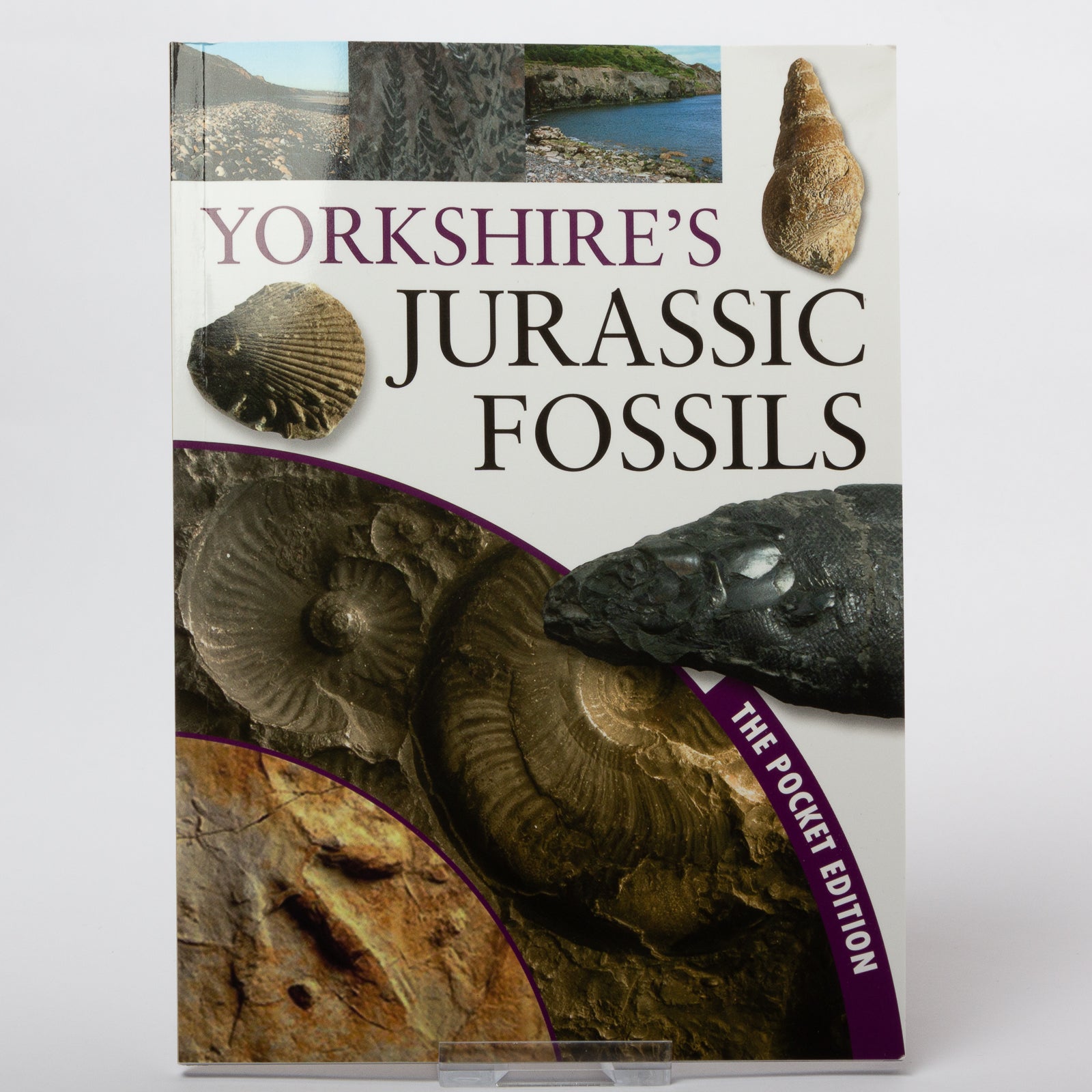 Yorkshire's Jurassic Fossils