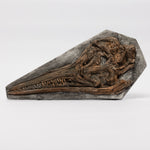 Load image into Gallery viewer, REPLICA Ichthyosaurus cf communis Skull Plaque
