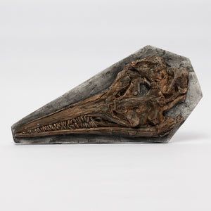 REPLICA Ichthyosaurus cf communis Skull Plaque