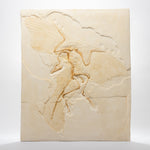 Load image into Gallery viewer, REPLICA Archaeopteryx lithographica
